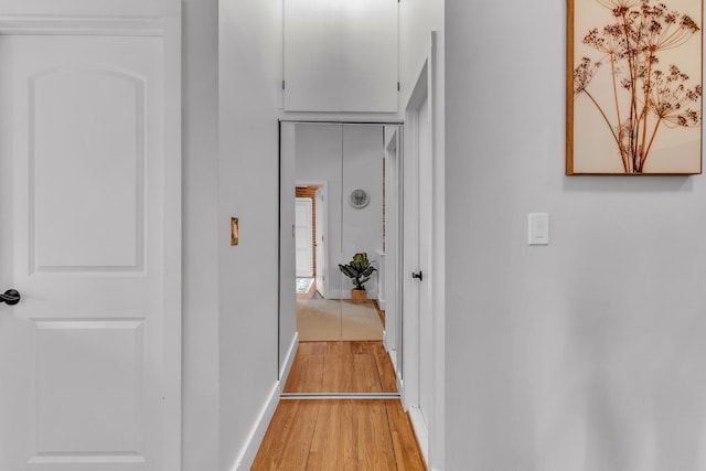 113 S Fourth Ave Unit 6, Ann Arbor, MI 48104 - hallway featuring light wood-type flooring and baseboards