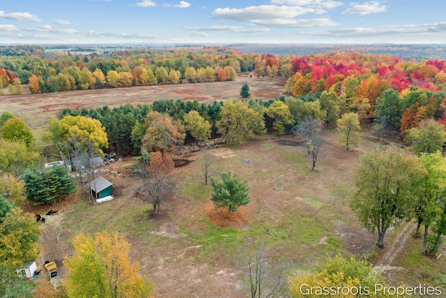 bird's eye view featuring a forest view