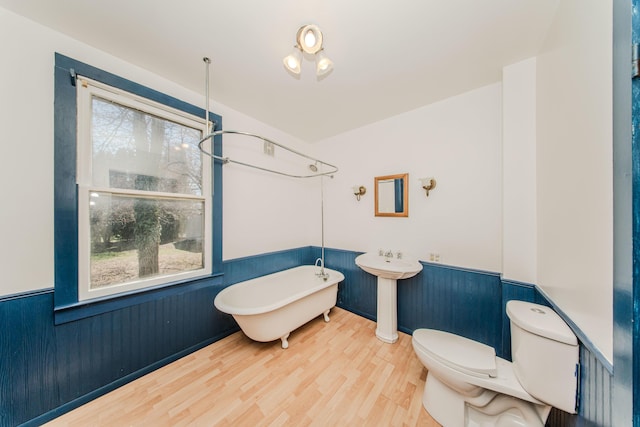 full bath featuring wainscoting, toilet, a freestanding tub, and plenty of natural light