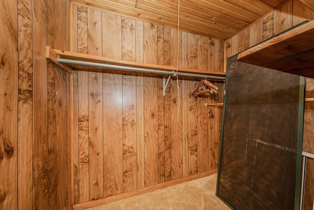 view of spacious closet