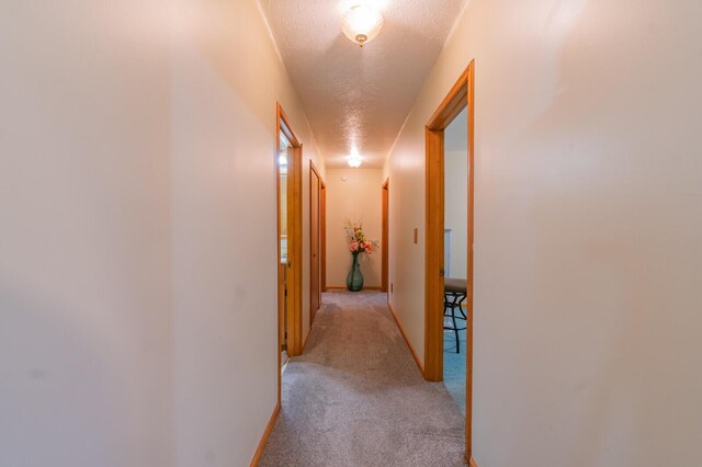 373 W Brooks St, Newaygo, MI 49337