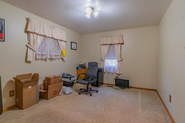 373 W Brooks St, Newaygo, MI 49337