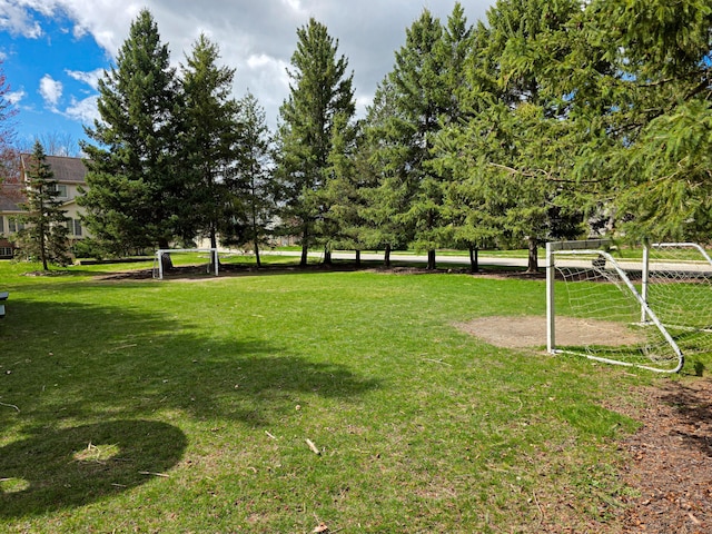 5795 Versailles Ave, Ann Arbor, MI 48103 - view of yard