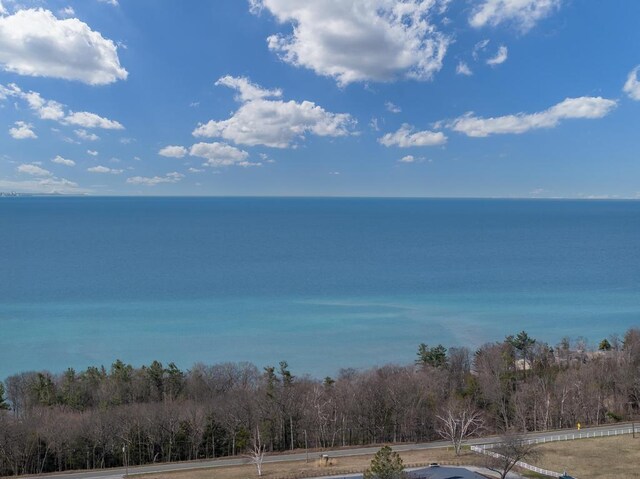 1267 Pinetree Trl, Harbor Springs, MI 49740 - photo 40