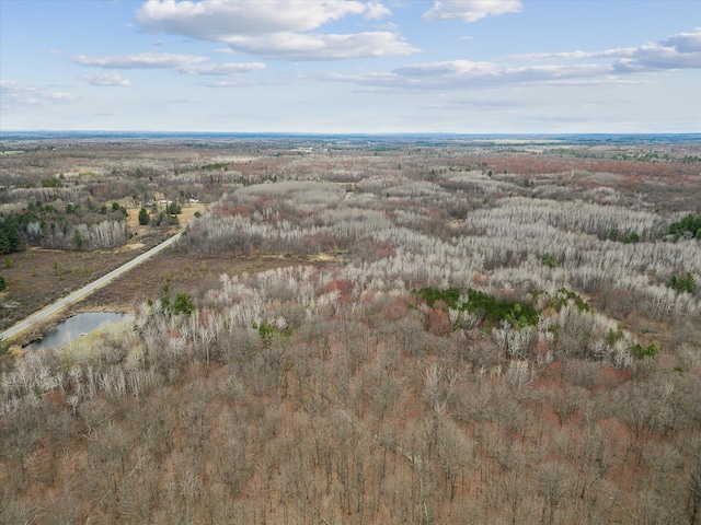 185 S Bringold Ave, Harrison, MI 48625 - photo 8