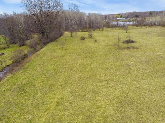 8692 E Baseline Rd, Mount Pleasant, MI 48858