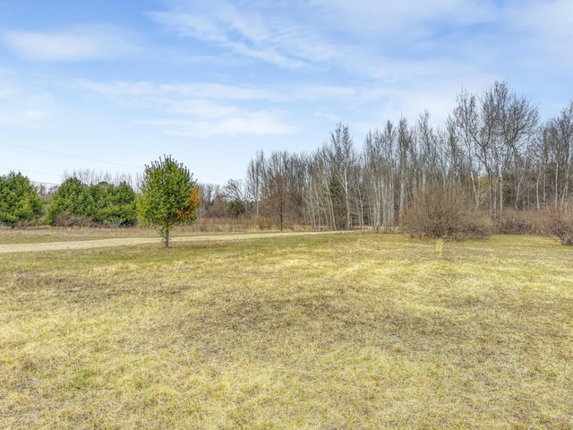 8692 E Baseline Rd, Mount Pleasant, MI 48858