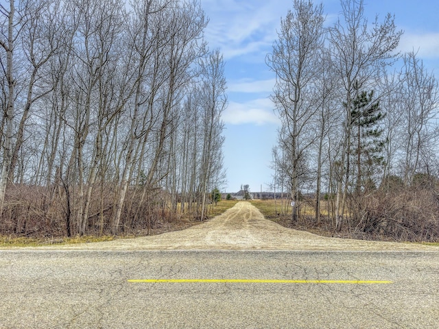 8692 E Baseline Rd, Mount Pleasant, MI 48858