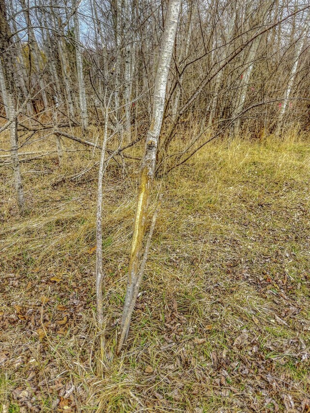 8692 E Baseline Rd, Mount Pleasant, MI 48858