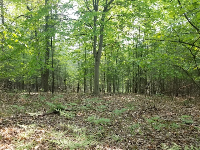 PAR16 W 12 Mile Rd, Irons, MI 49644 - photo 1