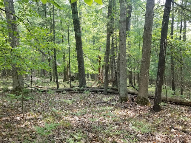 PAR16 W 12 Mile Rd, Irons, MI 49644 - photo 2