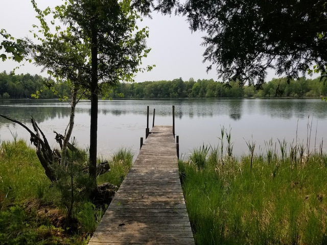 PAR16 W 12 Mile Rd, Irons, MI 49644 - photo 5