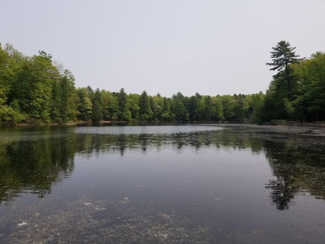 PAR16 W 12 Mile Rd, Irons, MI 49644 - photo 6