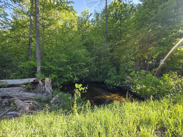 E Holland Lake Rd, Sheridan, MI 48884