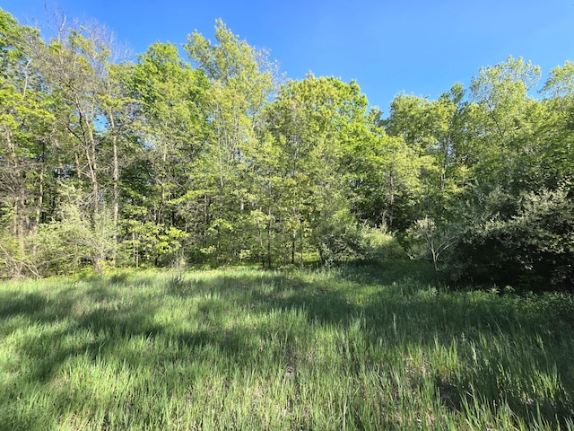 E Holland Lake Rd, Sheridan, MI 48884