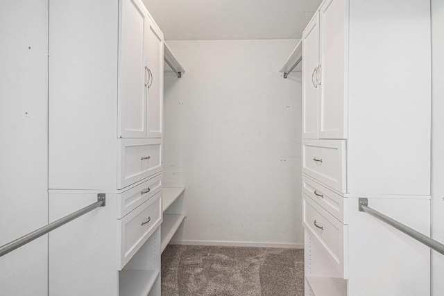 spacious closet with carpet floors