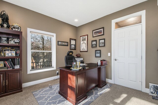 8041 Therese Ct SE, Caledonia, MI 49316 - photo 22