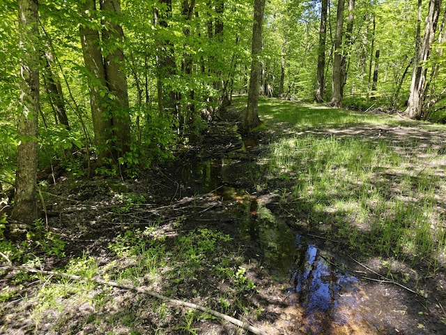 10830 W 3 Mile Rd, Branch, MI 49402