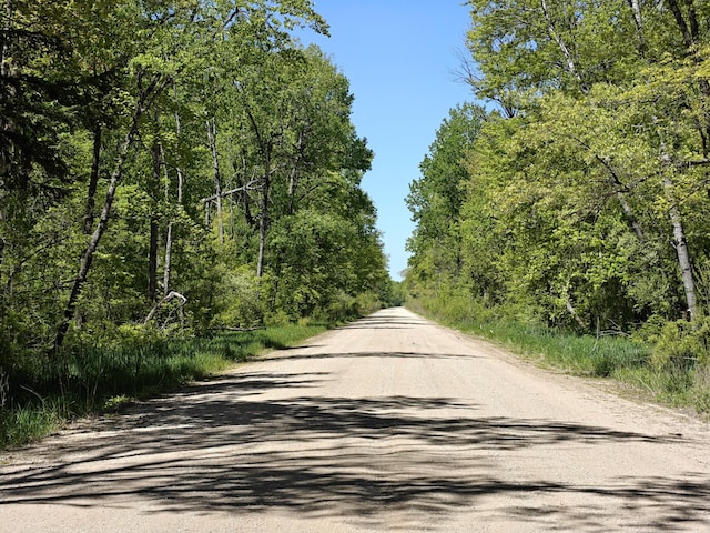 10830 W 3 Mile Rd, Branch, MI 49402