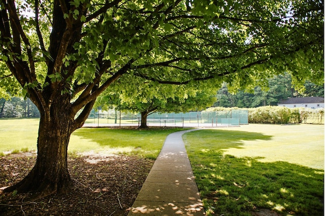 view of property's community featuring fence and a yard