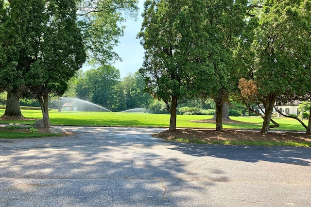 view of community with a lawn