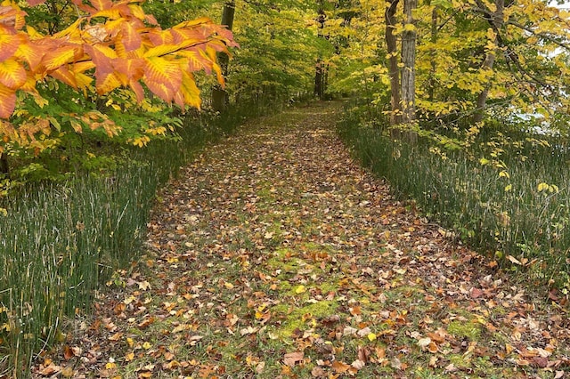 view of road