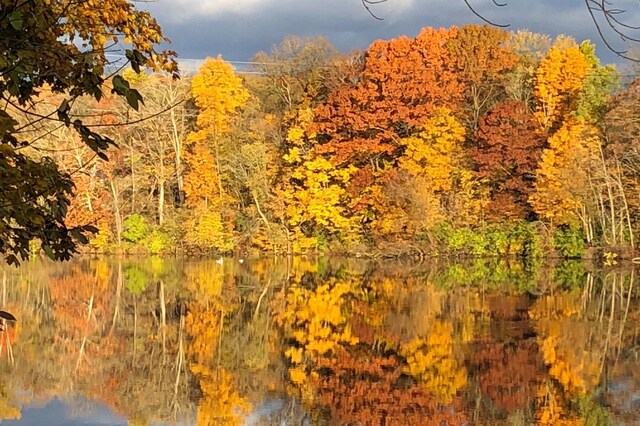 mountain view with a wooded view and a water view