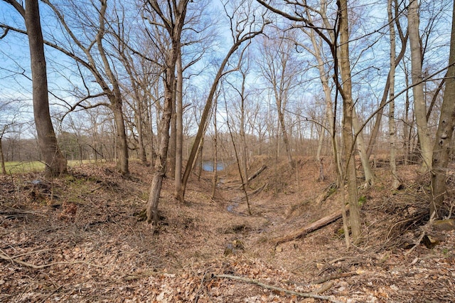view of landscape