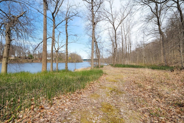 property view of water