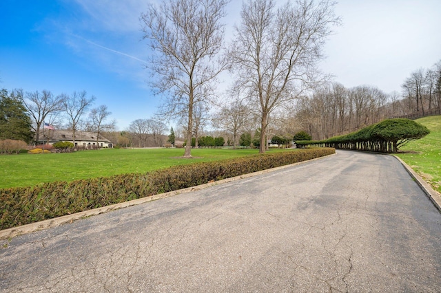 view of street with curbs
