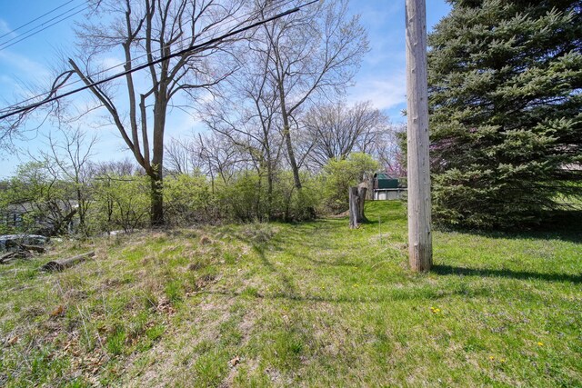 324 Amos St, Jackson, MI 49203 - photo 5