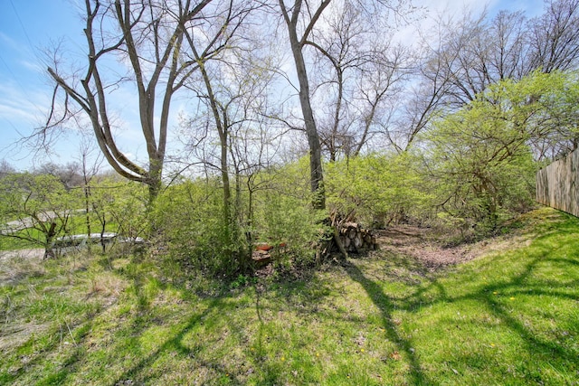 324 Amos St, Jackson, MI 49203 - photo 10