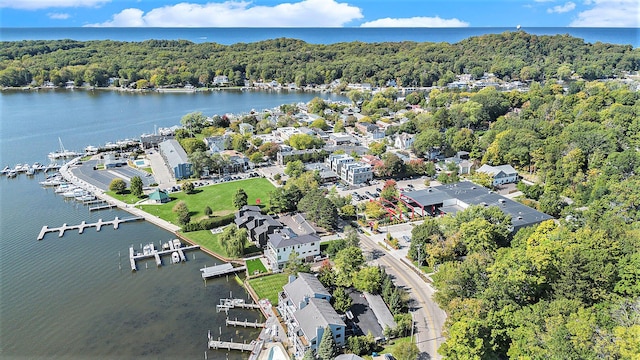 birds eye view of property with a view of trees and a water view