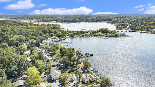 birds eye view of property featuring a water view and a wooded view