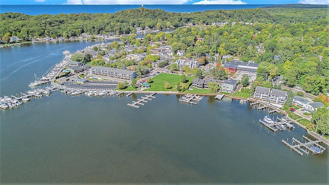 bird's eye view featuring a forest view and a water view