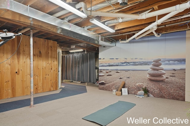 9090 E 32nd Rd, Cadillac, MI 49601 - unfinished basement featuring wooden walls and carpet floors