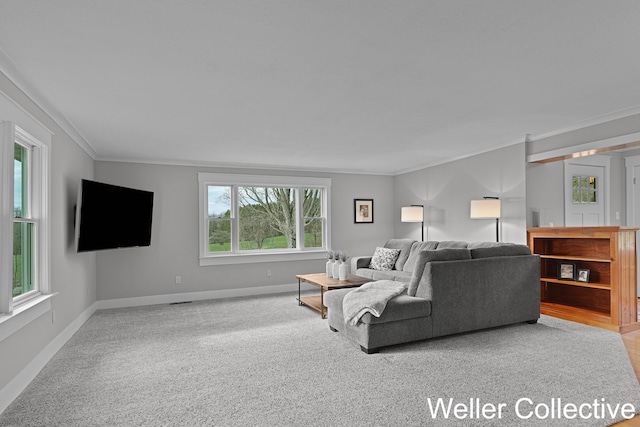 9090 E 32nd Rd, Cadillac, MI 49601 - carpeted living room with crown molding and baseboards