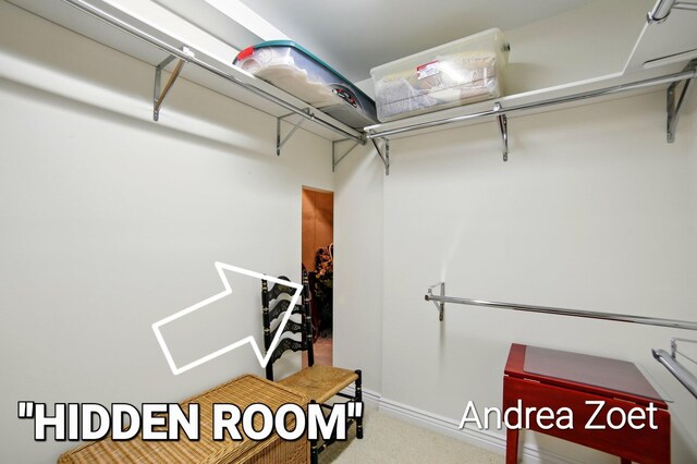walk in closet featuring carpet floors