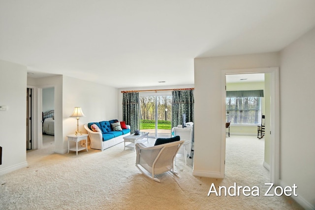 carpeted living room with baseboards and a wealth of natural light