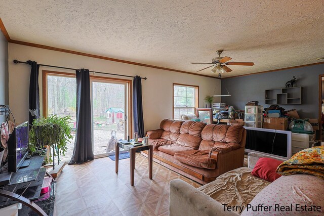 22 N Bossett Rd, Ravenna, MI 49451 - photo 12