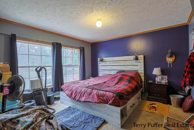 22 N Bossett Rd, Ravenna, MI 49451 - photo 14