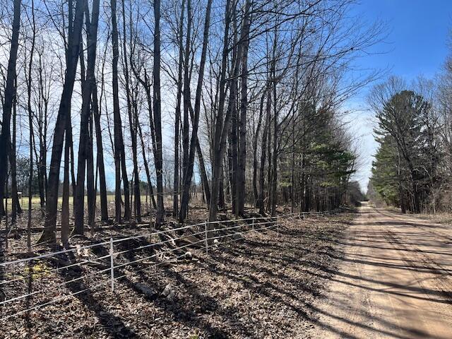 5325 Archer Rd, Brethren, MI 49619 - photo 33