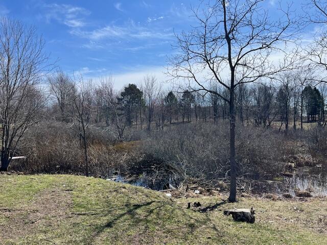5325 Archer Rd, Brethren, MI 49619 - photo 36