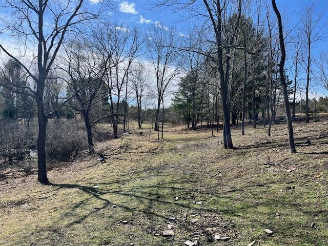 5325 Archer Rd, Brethren, MI 49619 - photo 37