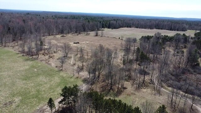5325 Archer Rd, Brethren, MI 49619 - photo 48