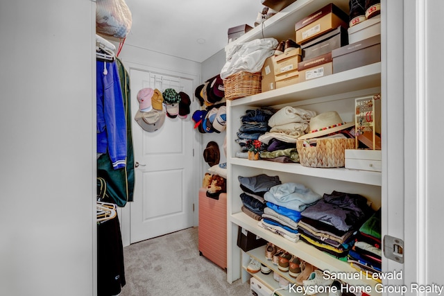 430 Union Ave NE Unit 303, Grand Rapids, MI 49503 - walk in closet with carpet floors