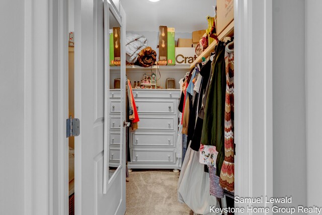 430 Union Ave NE Unit 303, Grand Rapids, MI 49503 - walk in closet with carpet flooring
