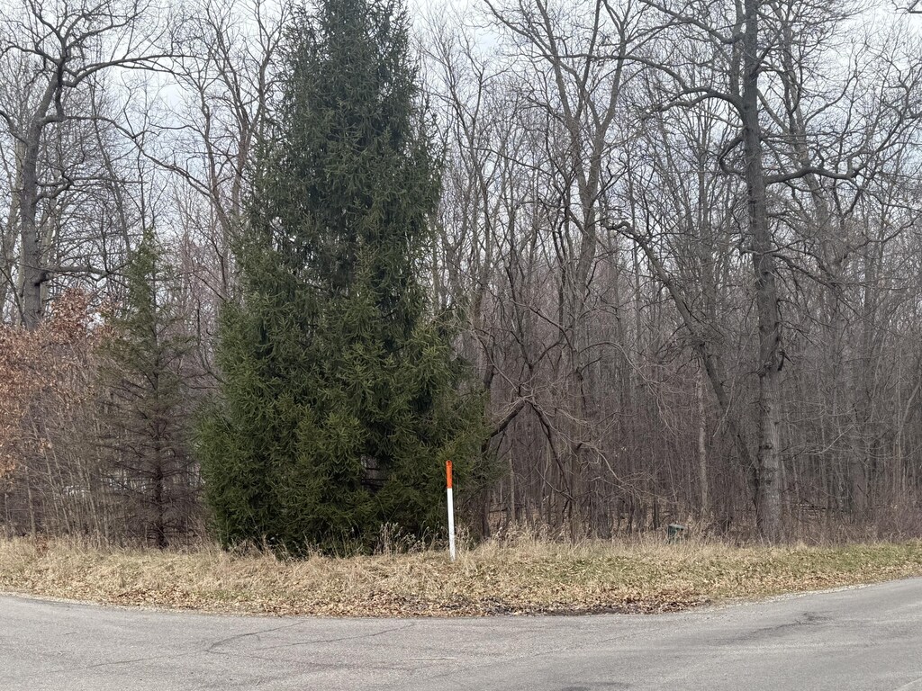 0 Budd Rd, Stockbridge, MI 49285