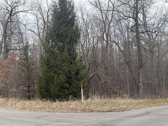 0 Budd Rd, Stockbridge, MI 49285