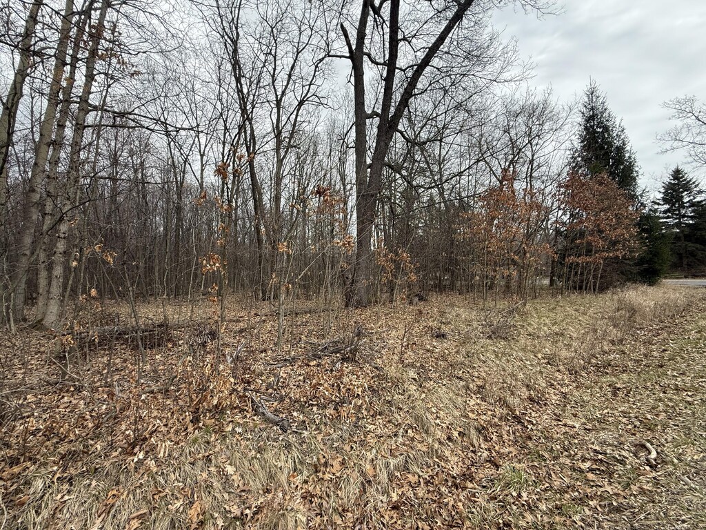 0 Budd Rd, Stockbridge, MI 49285